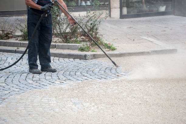 Best Sidewalk and Walkway Cleaning  in Mayer, MN